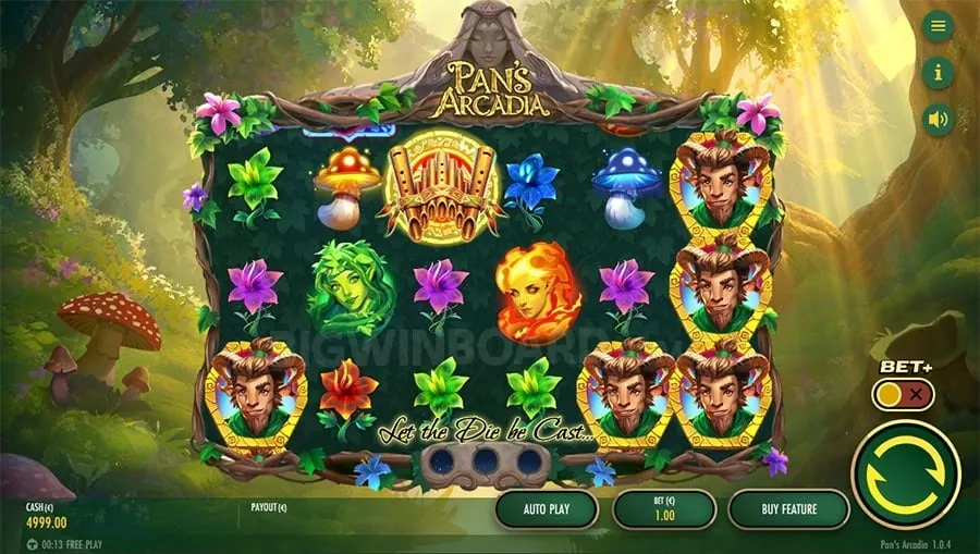 Live dealer casino game in action